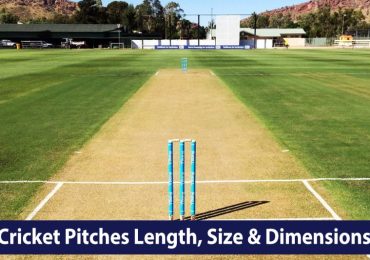 Cricket Pitch Length