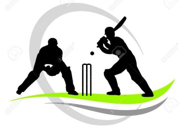 Cricket Vector