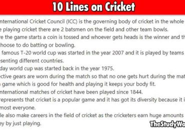 Essay On Cricket In English