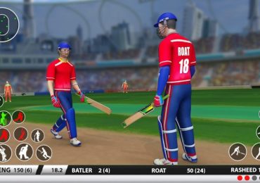 Online Cricket Game