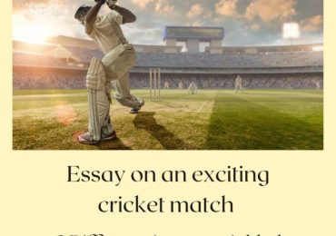 Cricket Essay In Hindi